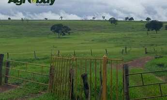 Imagem 6: Fazenda Localizada no Município de Iporá go