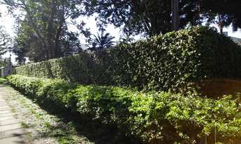 Imagem 4: Porto Alegre - Casa Padrão - Ipanema