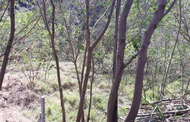 Imagem 2: Vende Ótimo Terreno 2.780 m² - Monterrey - Louveira