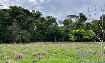 Imagem 2: Chácaras em Nerópolis a vista e parcelado