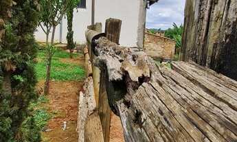 Imagem 7: SÍTIO COM POMAR EM ITATIAIUÇU - 1.000M²