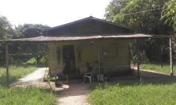 Imagem: Vendo esta chácara no Urumanduba mararu