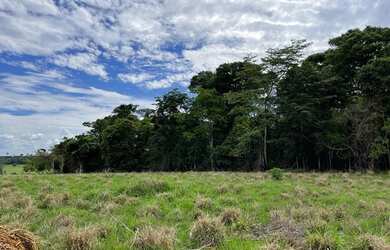 Imagem 6: Chácaras em Nerópolis a vista e parcelado
