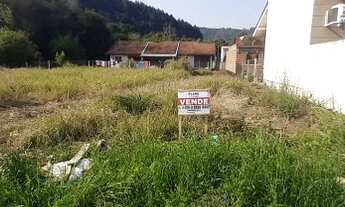 Imagem 3: TE31 Terreno em Três Coroas, topografia plana