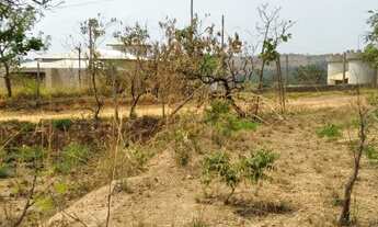 Imagem 5: Chácara com 3600 m² em Igarapé