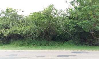 Imagem 2: Porto Alegre - Terreno Padrão - Lami