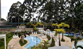 Imagem: Oportunidade