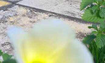 Imagem 2: CASA TEMPORADA PRAIA MORRO BRANCO CE