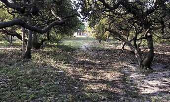 Imagem 4: Granja pertinho do mar na bela Praia de Caraúbas - Maxaranguape