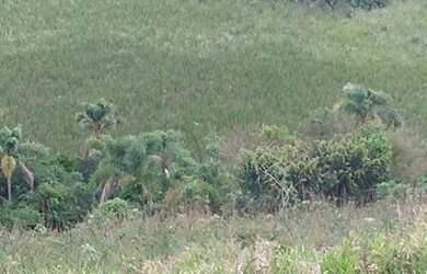 Imagem 5: Terrenos na beira da Represa João Penido - Juiz de Fora - MG