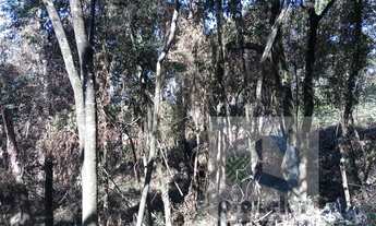 Imagem 5: ** Lindo terreno **