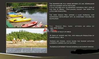 Imagem 5: BIM Vende em Pipa,10,83 hectares com 8,3 hectares de área útil - Fazenda