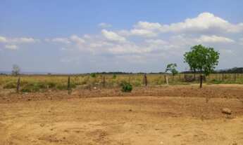 Imagem 7: Fazenda de 13.369 Hectares Mato Grosso - Nobres