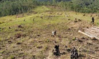 Imagem 6: Comércios a poucos min .