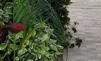 Imagem 5: Aluga-se casa tipo kitnet