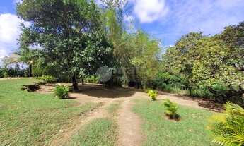 Imagem 5: Sitio para locação com área total de 8.300m², 3 quartos mobiliado em Lauro de Freitas