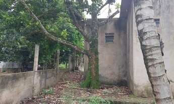 Imagem 2: Vendo ou troco lindo terreno em Ilha do sol próximo ao termas