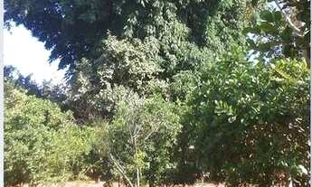 Imagem 7: Chácara - Capão da Erva / Paranoá (CR29