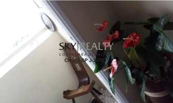 Imagem 7: SAO PAULO - Padrão - Interlagos