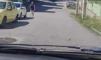 Imagem 5: Apartamento para alugar