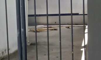 Imagem 6: Comercial para Locação em Rio de Janeiro, Pedra de Guaratiba, 1 banheiro