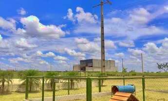 Imagem 6: LOTES EM SENADOR CANEDO