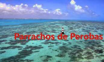 Imagem 4: Uma Perola! Beira Mar, 250.000 m2 em frente aos Corais de Perobas