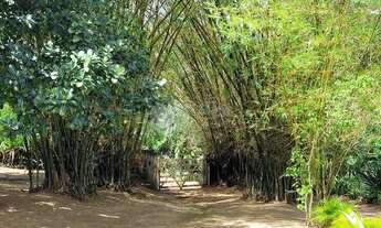 Imagem 6: Sitio para locação com área total de 8.300m², 3 quartos mobiliado em Lauro de Freitas