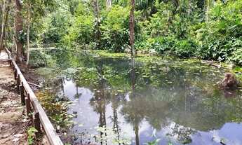 Imagem 2: Terreno com igarapé, troco em terreno ou carro