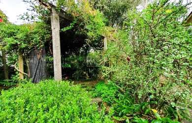 Imagem 3: Terreno em Jardim Isabel