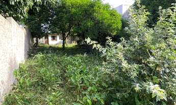 Imagem 6: ESTEIO - Terreno Padrão - Centro