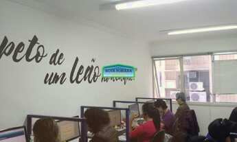 Imagem 7: SãO PAULO - Padrão - Vila Mariana