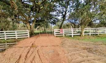 Imagem 7: Terreno para Venda - 0m², 0 dormitórios, Lageado