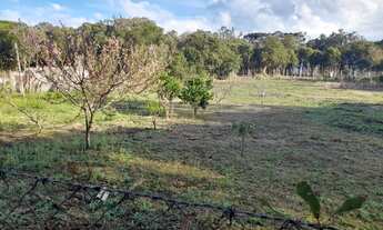 Imagem: Excelente Chacara com 5.000 m2 em condominio