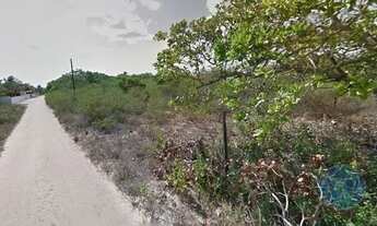 Imagem 2: MACAIBA - Terreno Padrão - Macaíba