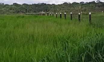 Imagem: Fazenda 908 hectares