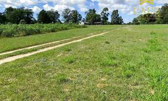 Imagem 7: Lindo terreno de frente para avenida pavimentada