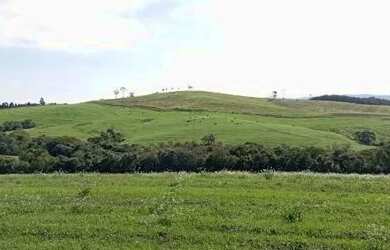 Imagem 5: 40 alqueires 30 lavoura Ivaí -PR