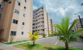 Imagem: Lindo Apartamento a partir de 700,00