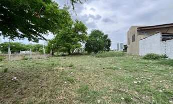 Imagem 7: Terreno no Jardim Europa, 540 m2, 18 x 30, a 500 mts do Shopping Jardins