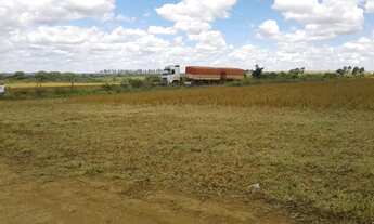 Imagem 5: FAZENDA PRODUTIVA COM 472HECTARES, HA 55KM DE UNAI!!