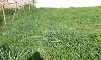 Imagem 7: Terreno em Condomínio à venda no Condomínio Residencial MontAlcino em Valinhos/SP