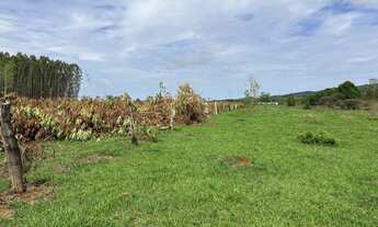 Imagem 4: Vendo Chácara Chácara com venda por R$560.000