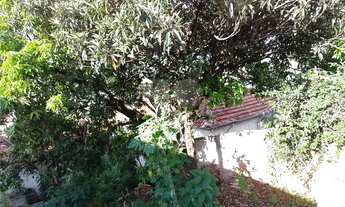 Imagem 6: Terreno à venda em Vila Comercial - SP