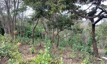 Imagem 3: Terreno rural 10ha, com barracão, com riacho no fundo, bela vista, Jaboticatubas