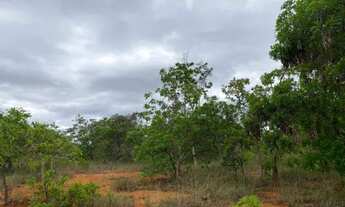 Imagem 5: Terreno 12 ha, terra plana e boa pra plantio, boa localização, Jaboticatubas
