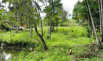 Imagem 5: Sítio a venda Chácara com venda por R$120.000