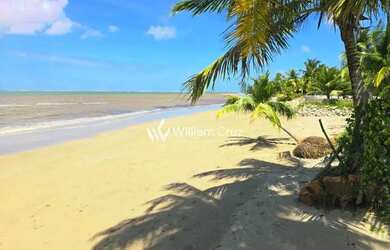 Imagem 6: 2.000m a beira mar de Japaratinga, grande oportunidade