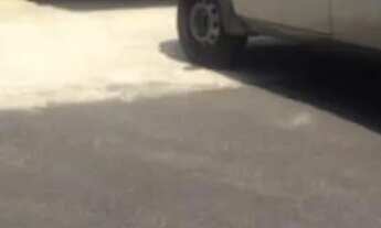 Imagem 3: ALUGA-SE GALPÃO 2.500 m² - Realengo