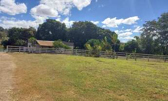 Imagem 7: Aluga-se pasto urbana e 2 terrenos comerciais direto acesso por BR 153 Jaiara/Anápolis